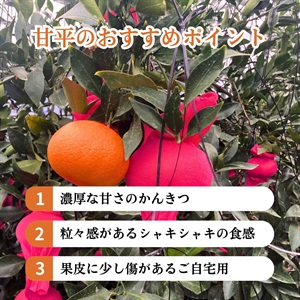 【甘平・高級品→お年明け1月中旬から発送】 甘平（ご自宅用） 2月上旬発送開始 | 全農食品オンラインショップ