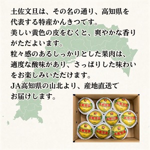 土佐文旦 2月中旬発送開始 | 全農食品オンラインショップ
