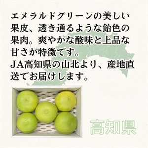 水晶文旦 9月下旬発送開始 | 全農食品オンラインショップ