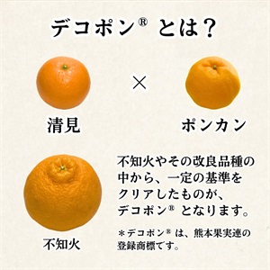 ハウスデコポン 12月中旬発送開始 | 全農食品オンラインショップ