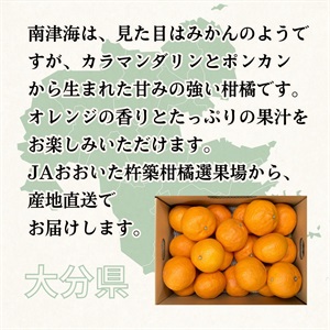 南津海（なつみ） 4月中旬発送開始 | 全農食品オンラインショップ