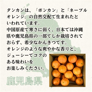 （鹿児島県産）pf ハウス栽培タンカンMサイズ4〜4.5kいちき串木野市産 鹿児島天城町】林果樹園 徳之島産 タンカン【ご家庭用】混合