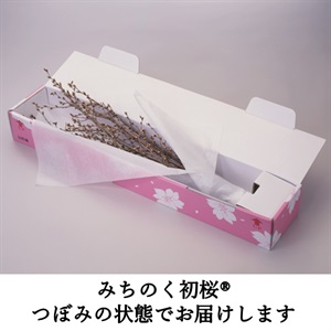 月華桜様(3mm56、69、73、75、80、83)6個 月華桜様(3mm56、69、73、75、80、83)6個 【公式通販】