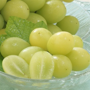 シャインマスカット・ピオーネ 8月中旬発送開始 | 全農食品