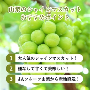 山梨のシャインマスカット 9月中旬発送開始 | 全農食品オンラインショップ