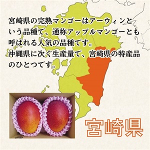 完熟マンゴー 5月中旬発送開始 | 全農食品オンラインショップ