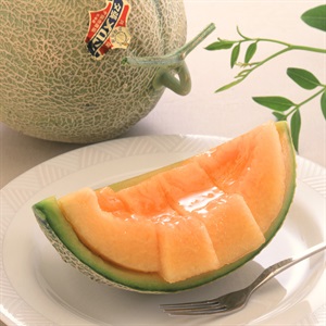夕張メロン良品 3Lサイズ 2玉 6月下旬発送開始 | 全農食品オンライン