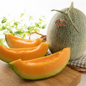 メロン出品② メロンパークのメロン＜2026年9月発送・2Lサイズ1玉＞【1264385