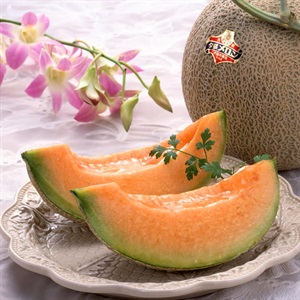 メロン出品② 夕張メロン優品 2Lサイズ 1玉 6月下旬発送開始 | 全農食品オンライン