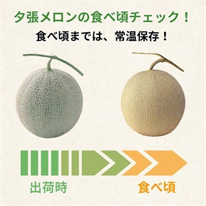 夕張メロンtsumikaさま専用ページ ME01032600_1_M.jpg