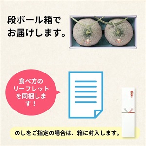 夕張メロン優品 Lサイズ 2玉 6月下旬発送開始 | 全農食品