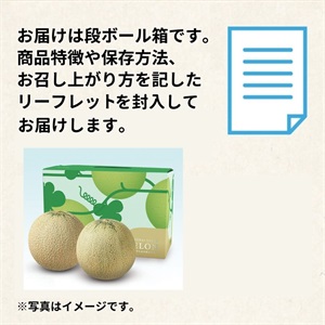 メロン 庄内砂丘メロンセット 7月上旬発送開始 | 全農食品オンライン