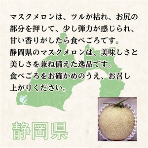 ますくめろん マスクメロン | 白木果樹園