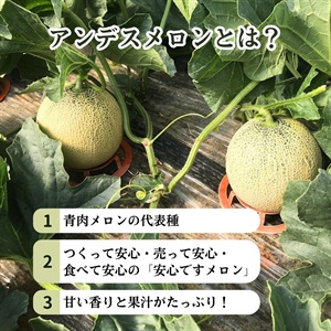 こどもの日】アンデスメロン | 全農食品オンラインショップ