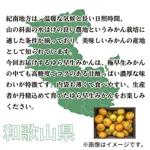 ゆらゆらページ ゆら早生みかん 10月上旬発送開始 | 全農食品オンラインショップ