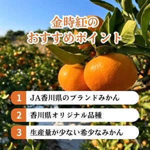 金時紅 12月中旬発送開始 | 全農食品オンラインショップ