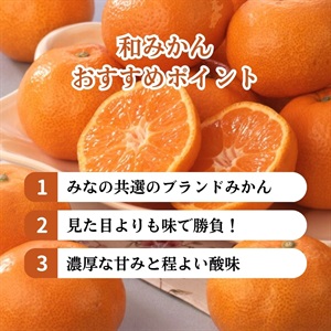 みかん様 ご確認用ページ MO38213000_2_M.jpg