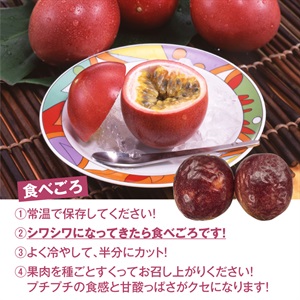 パッションフルーツ 15kg パッションフルーツ 6月中旬発送開始 | 全農食品オンラインショップ