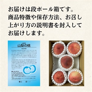 山梨の桃1.5kg 7月中旬発送開始 | 全農食品オンラインショップ