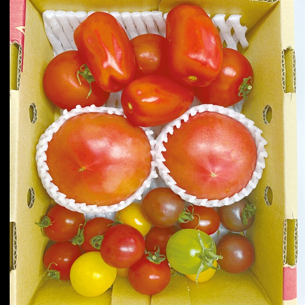 サンシャイントマト | 全農食品オンラインショップ