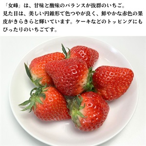 女峰400g 4月上旬発送開始 | 全農食品オンラインショップ