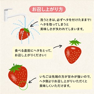 いちごさん450g 2月中旬発送開始 | 全農食品オンラインショップ