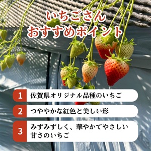 いちごさん800g 2月中旬発送開始 | 全農食品オンラインショップ