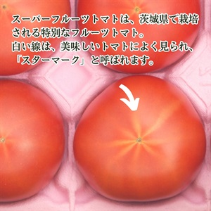 スーパーフルーツトマト 4月中旬発送開始 | 全農食品オンラインショップ