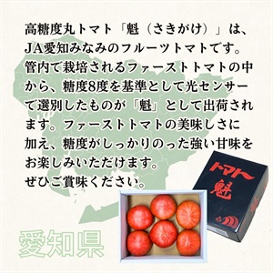 remon 訳ありファーストトマト 資材込み20キロ レギュラートマト – タカギ農場