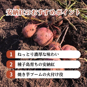 安納紅・安納こがね 11月上旬発送開始 | 全農食品オンラインショップ