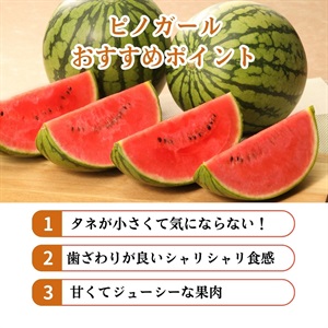 ６・東京都・浜なし・ピノガール こだますいか ピノガール 6月上旬発送開始 | 全農食品オンラインショップ