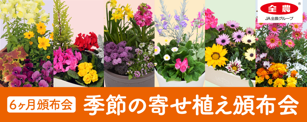 6ヶ月頒布会 季節の寄せ植え頒布会