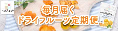 ニッポンエール　ドライフルーツ定期便