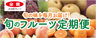 2023年7～10月定期便