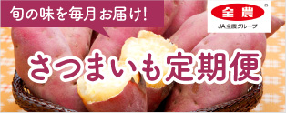 さつまいも定期便