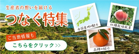 つなぐ